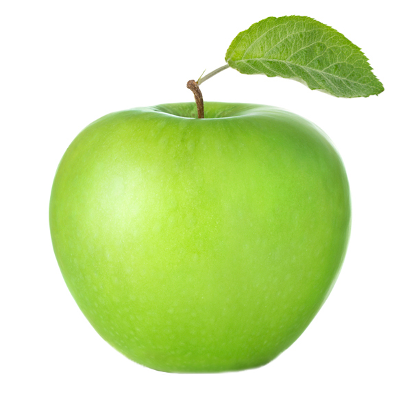 GRAFIcom Green Line – Nachhaltigkeit in der Werbetechnik